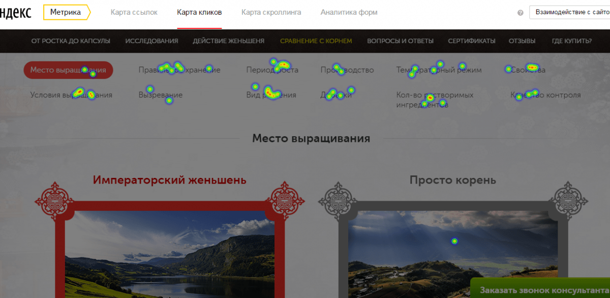 Вебвизор Яндекс Метрики